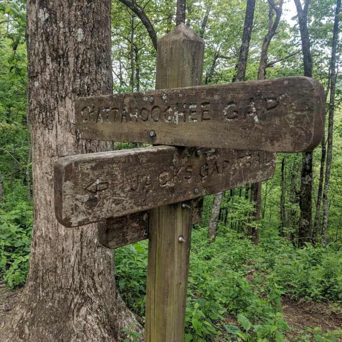 Near Brasstown Bald via Appalachian Trail