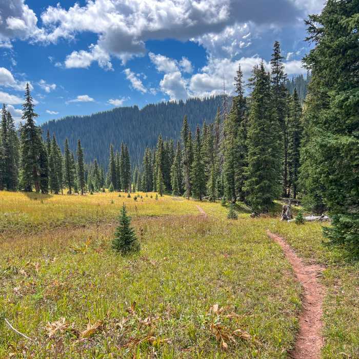Near Deer Creek Trail