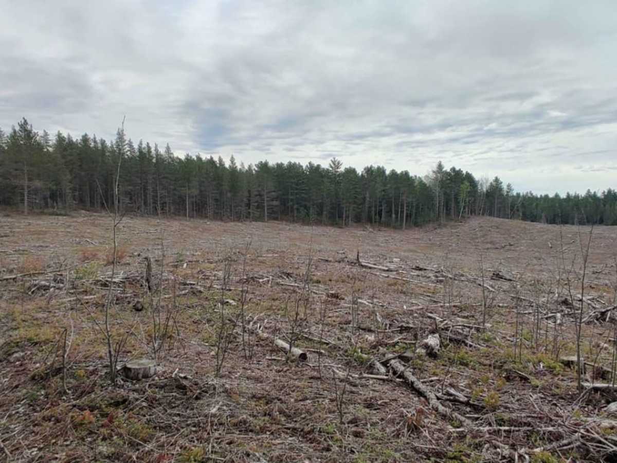 Pine Ridge Trail North photo 2