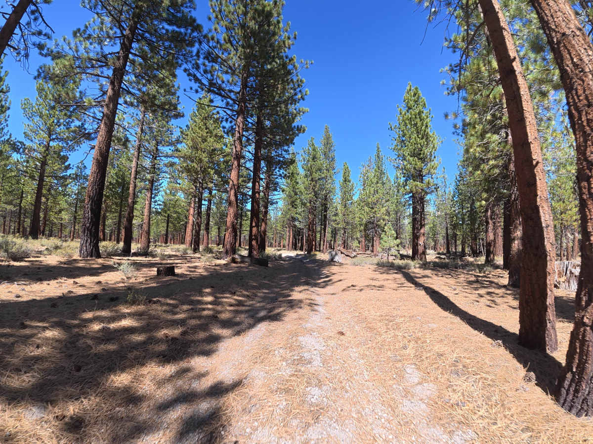 Old Rail Cutoff photo 3