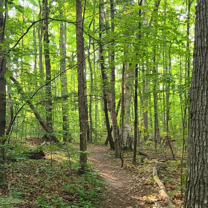 Typical of the trail system Near Old Baldy Trails