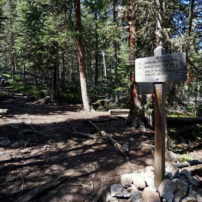 Near Buffalo Cabin + Buffalo Mountain Hike