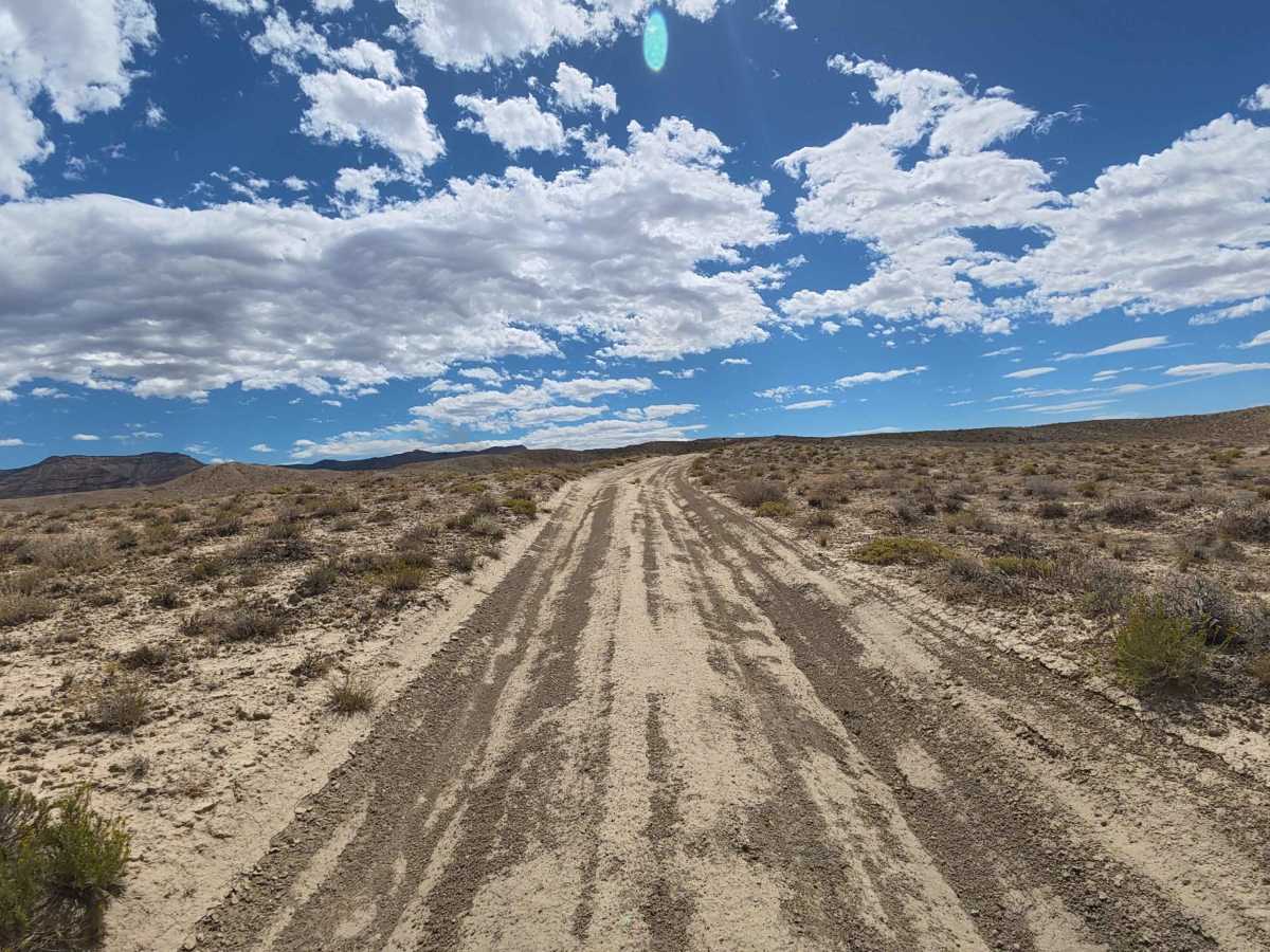 BLM 210 photo 3