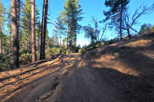 Little Sullivan Ridge - FS 85346
