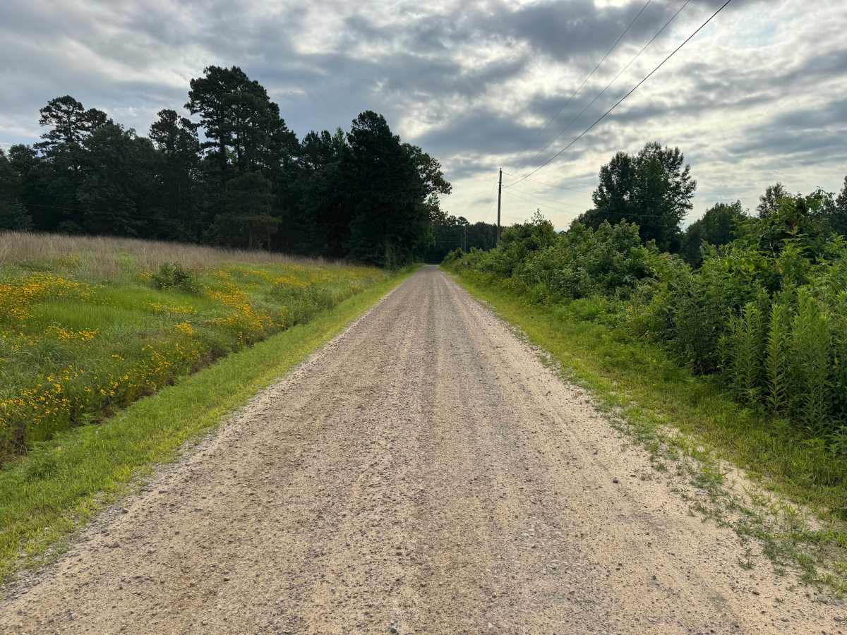 County Road 4410 photo 2