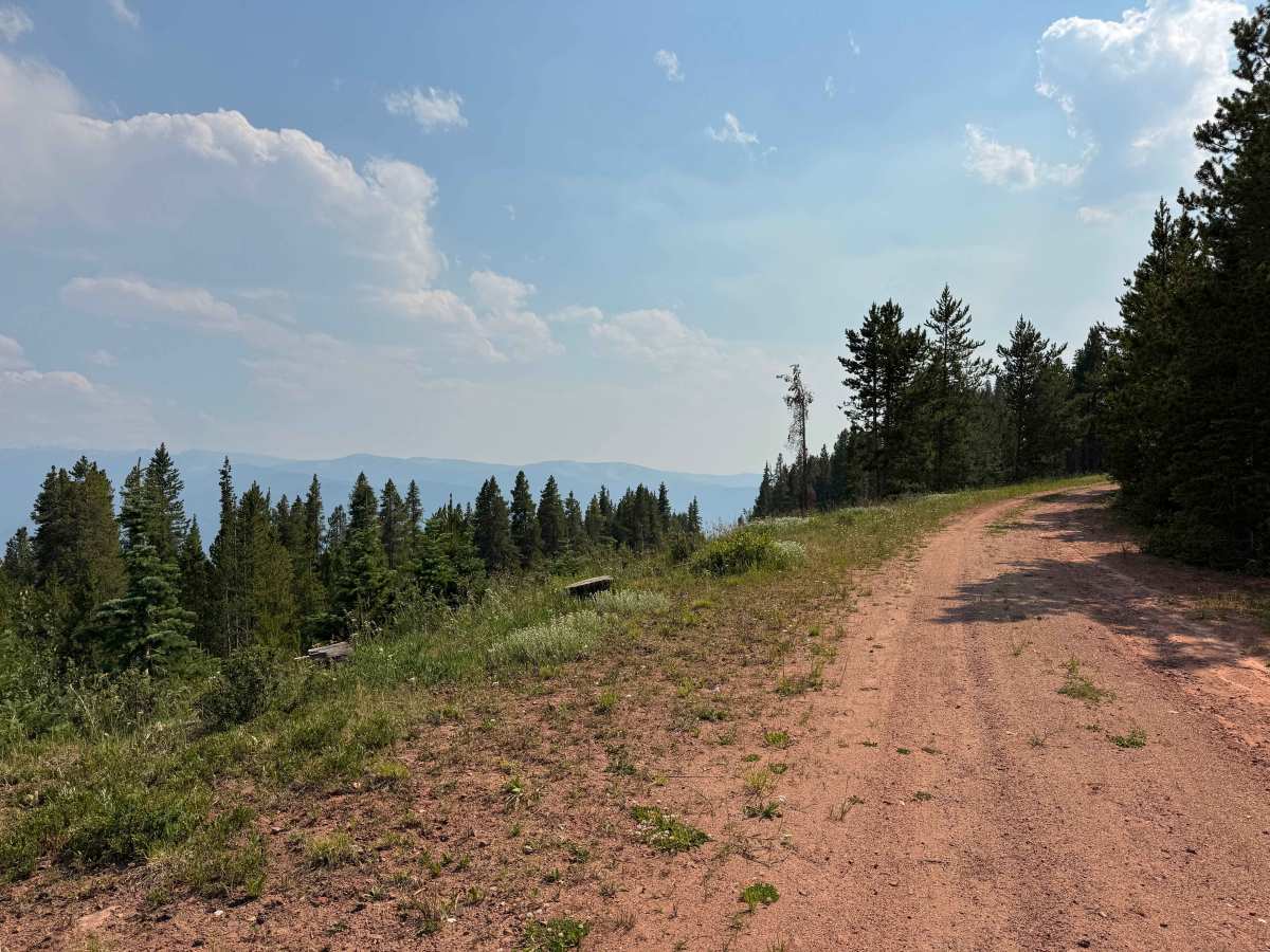FS 512 trail photo