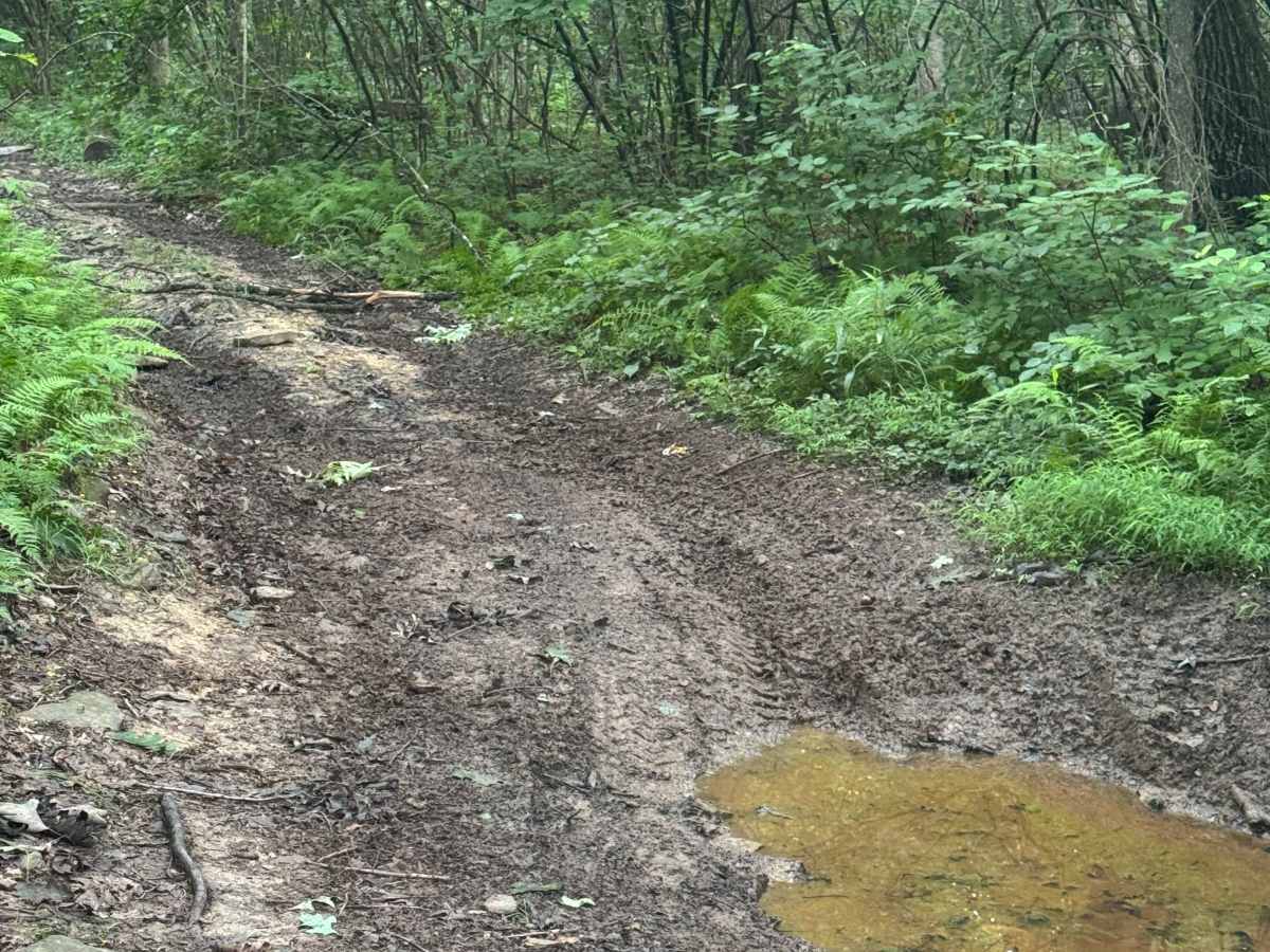 Trail 57 photo 6