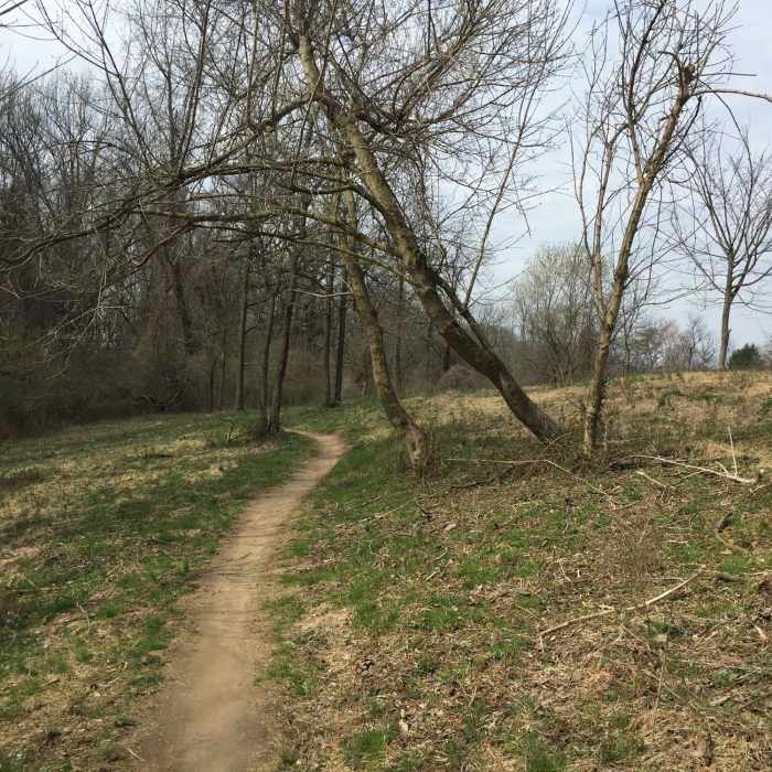 A fiew of the whitely farm loop Near Whitely Farm Loop