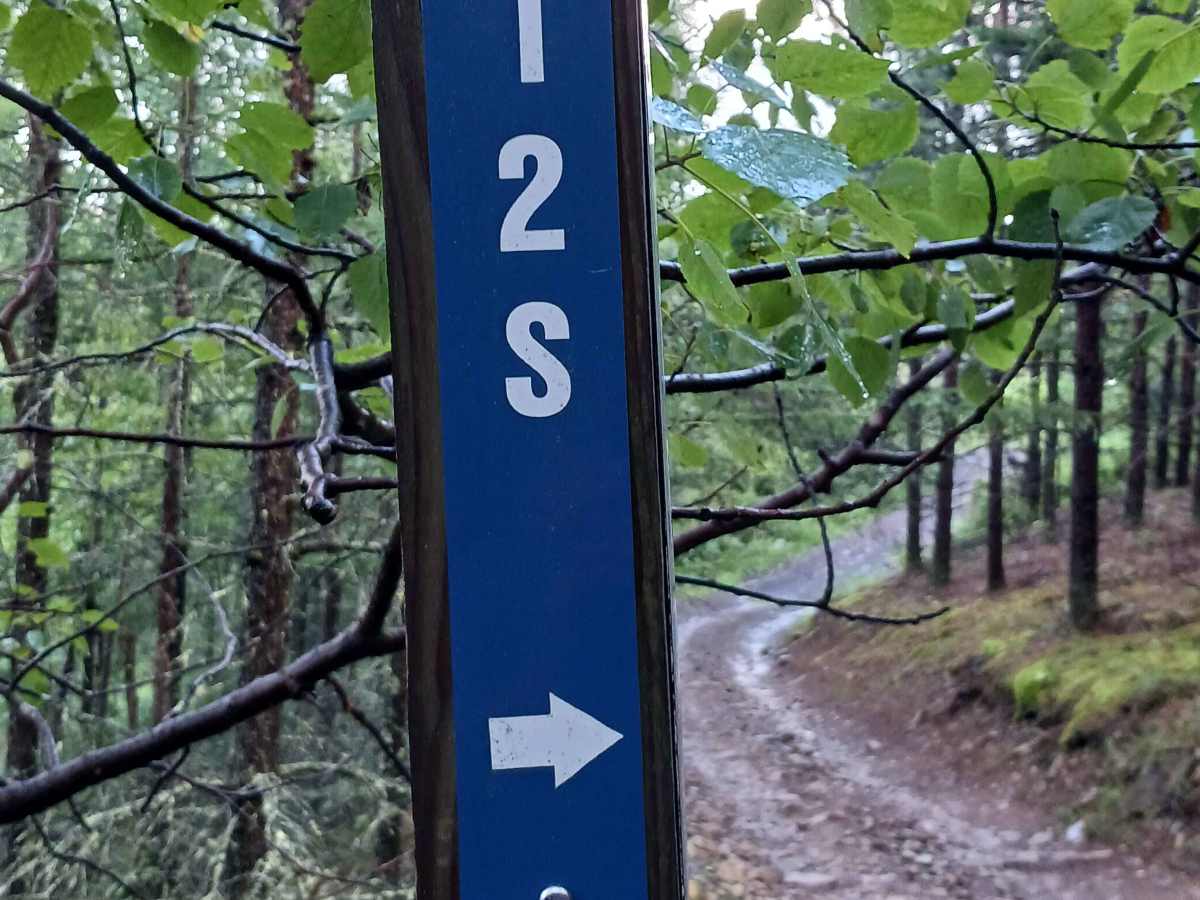 Trail 12S - Rock Run Recreation Area trail photo