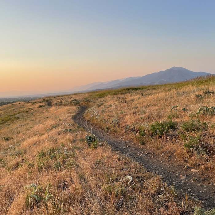 Near Painted Hills Trail (and Connector Trail)