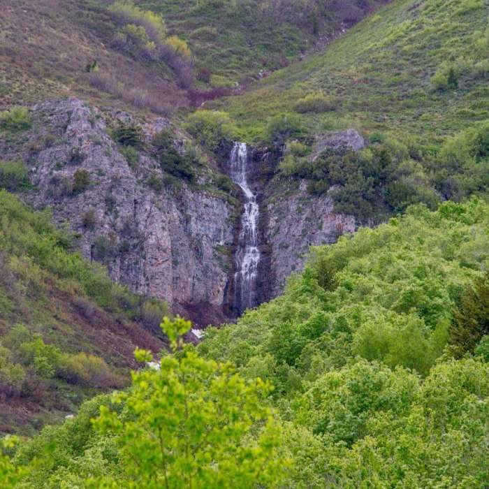 Near Wood Camp Hollow