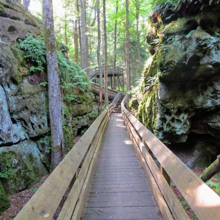 Beartown State Park boardwalk looking towards a viewing platform in the distance. Near Beartown State Park
