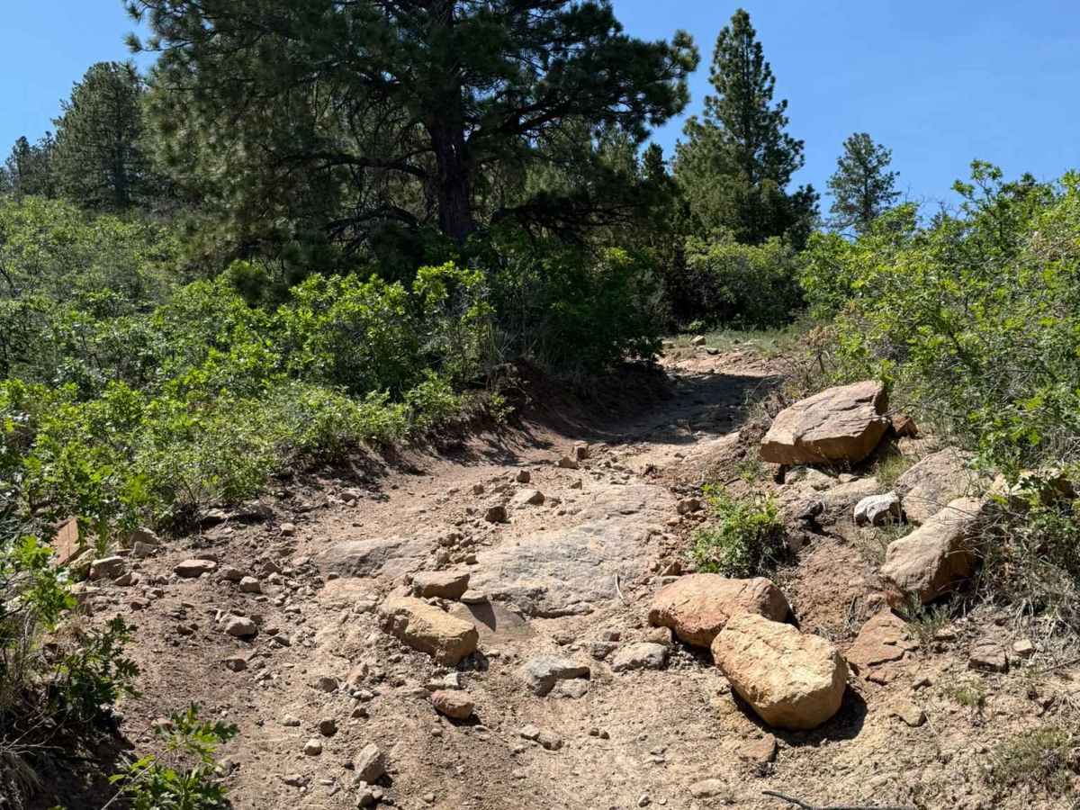 Shay Ridge OHV Trail N0. 162 photo 4
