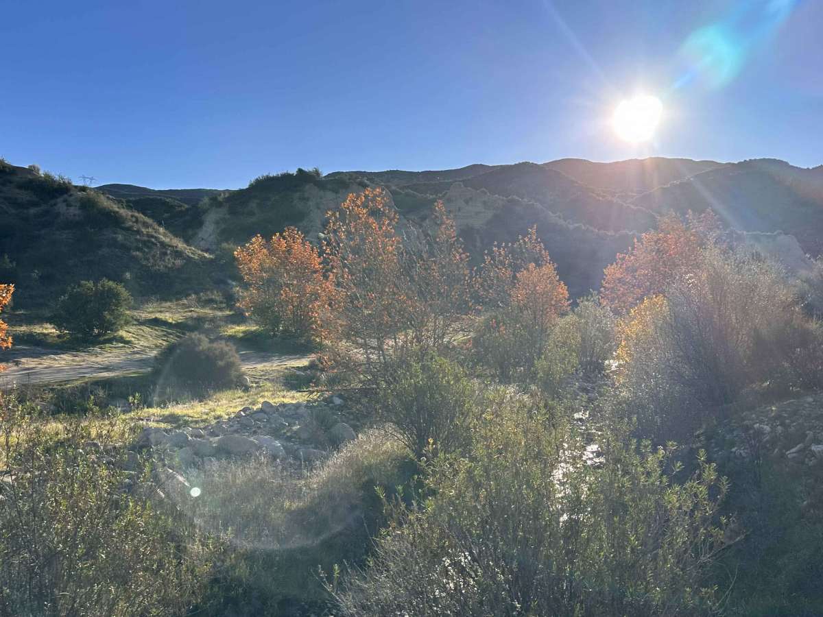 Cleghorn CA-15 Overlook photo 4