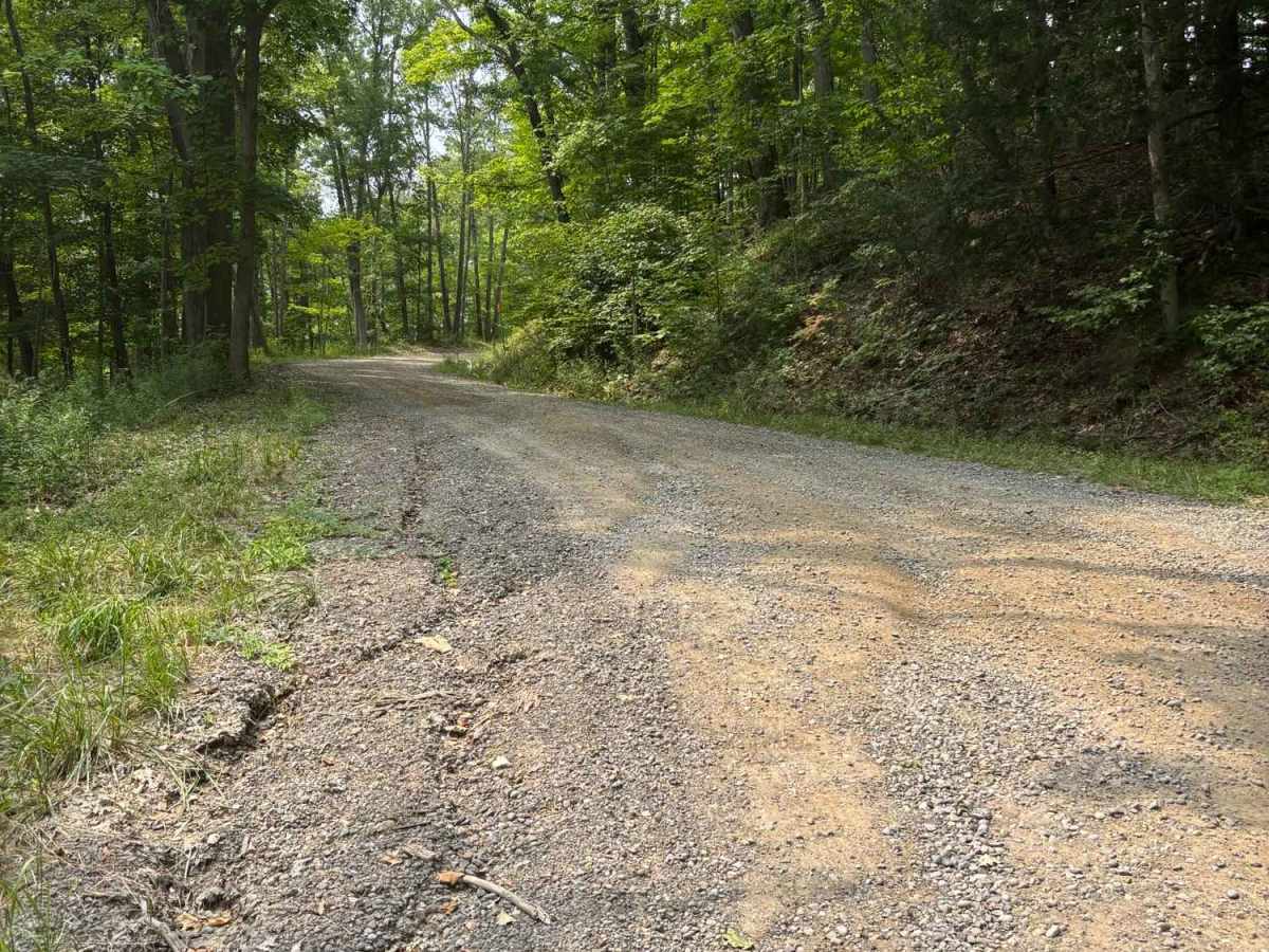 Southwoods Road photo 2
