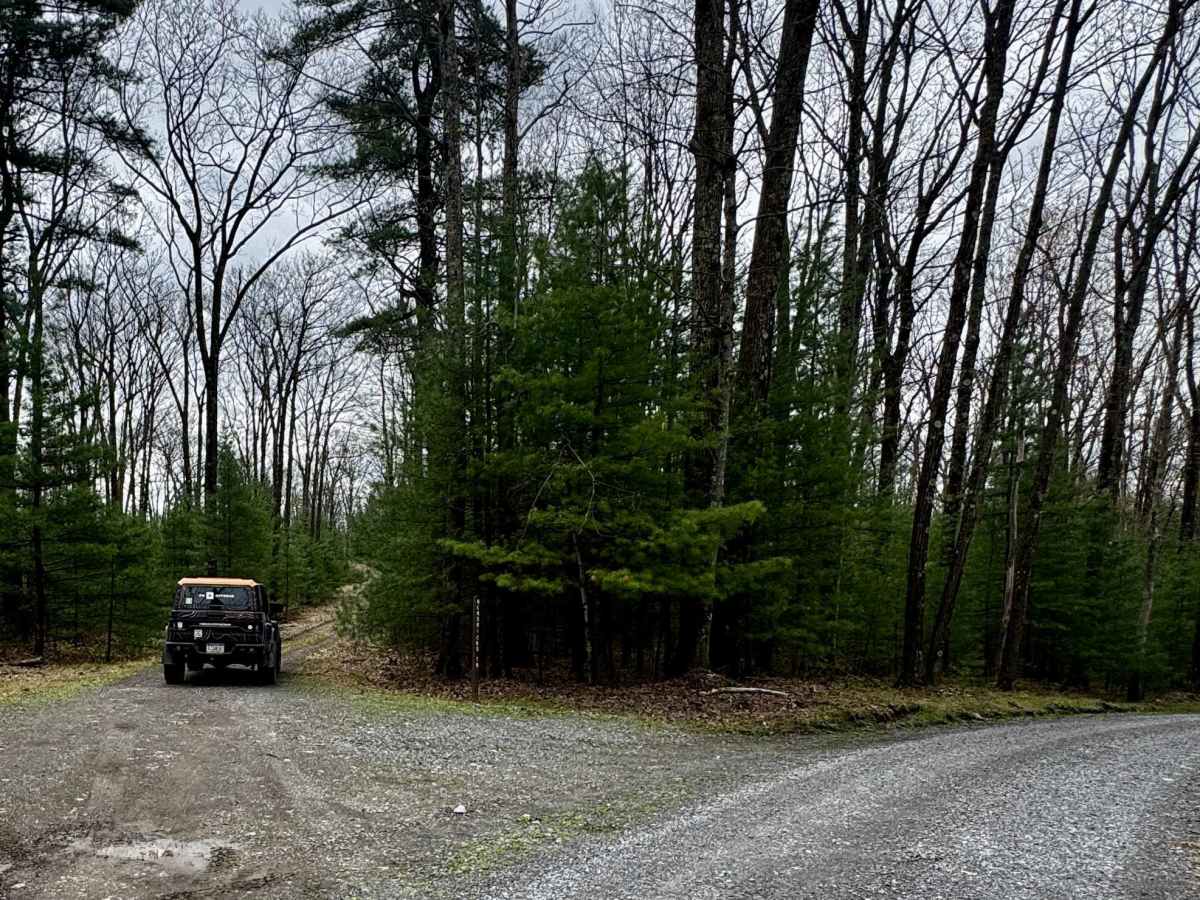 Hendricks Trail trail photo