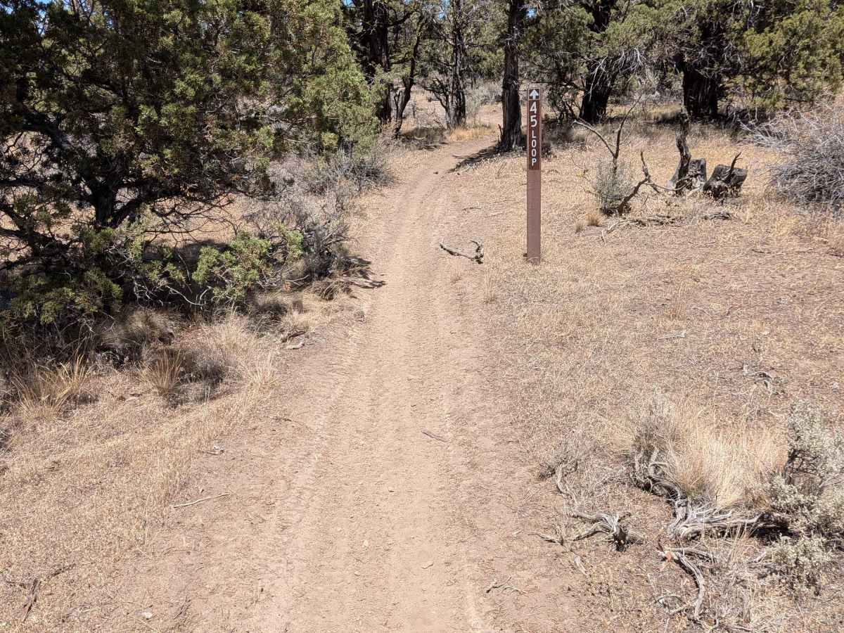 Cline Buttes OHV Trail 45 Loop photo 3
