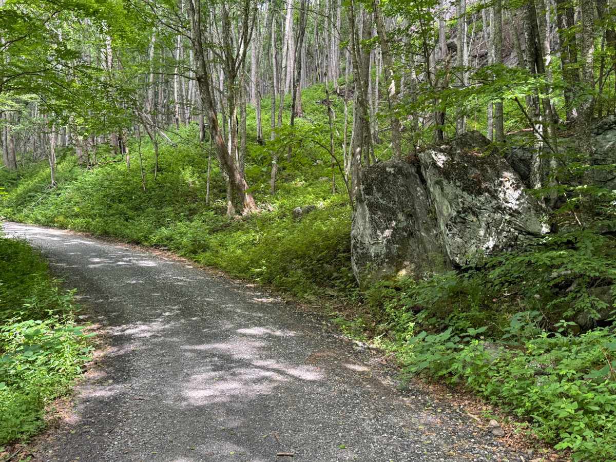 Sugar Creek Gap - FS 4665 photo 6