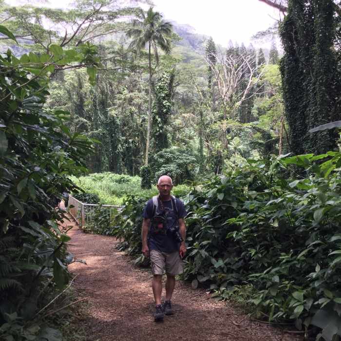 Near Manoa Falls Trail