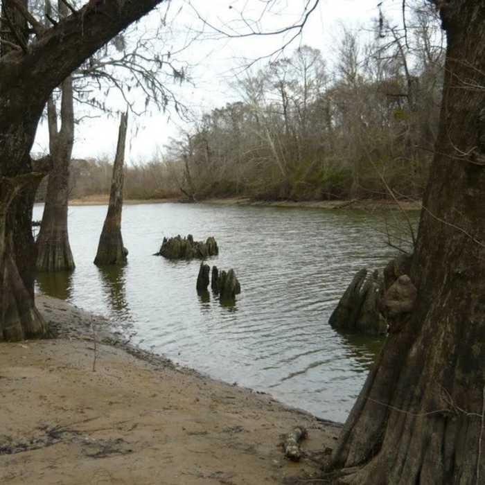 Near San Jacinto Trail