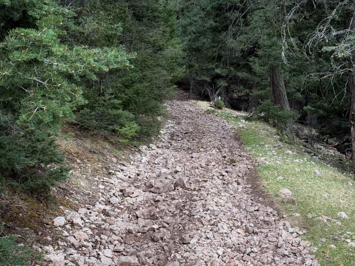 Schofield/Benson - FS 5007C  trail photo