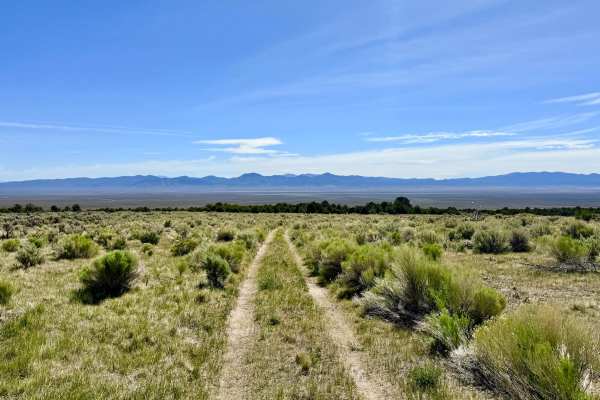 Faulkner Creek - FS 43266