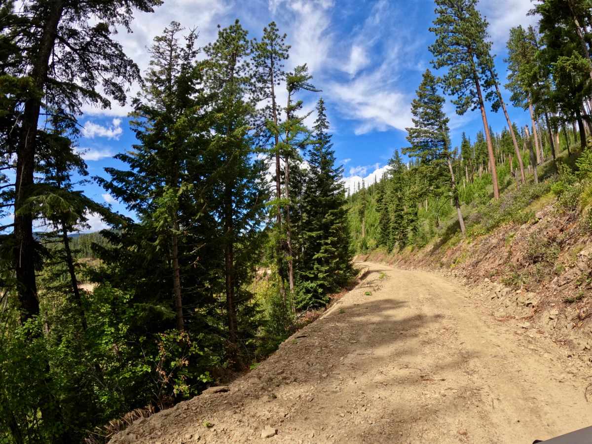 Ward Creek Trail photo 3