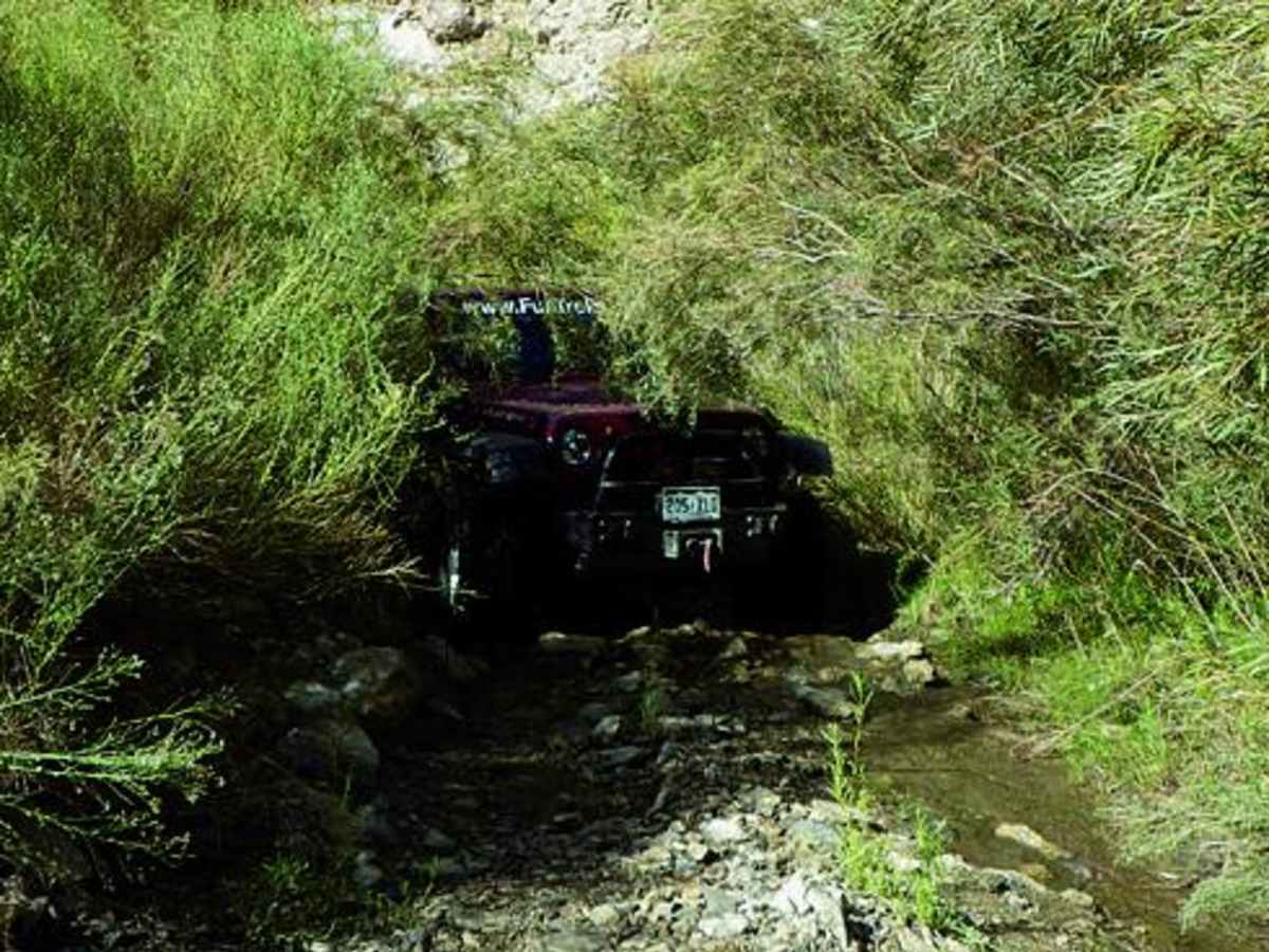 Pleasant Canyon photo 2
