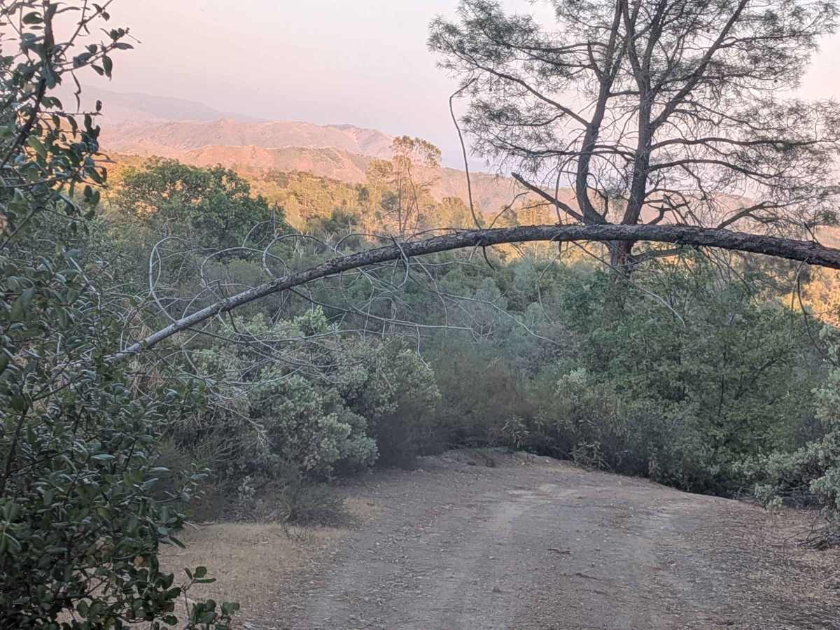 Ponderosa Way Cutoff photo 3