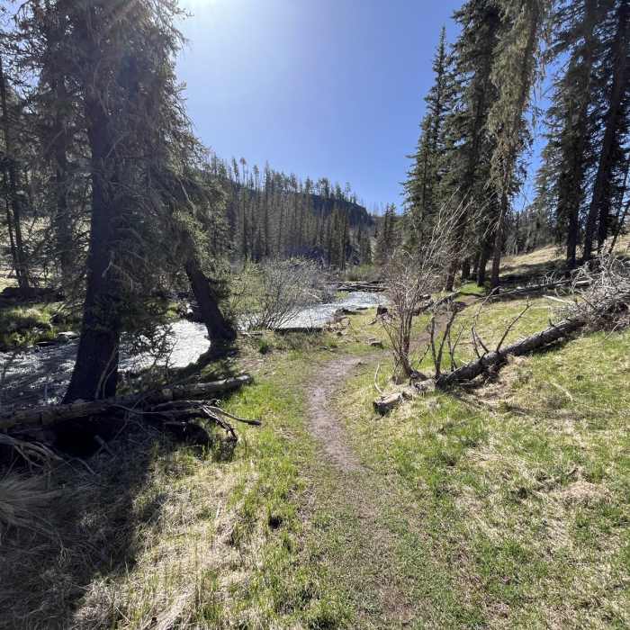 Near Thompson Trail 629