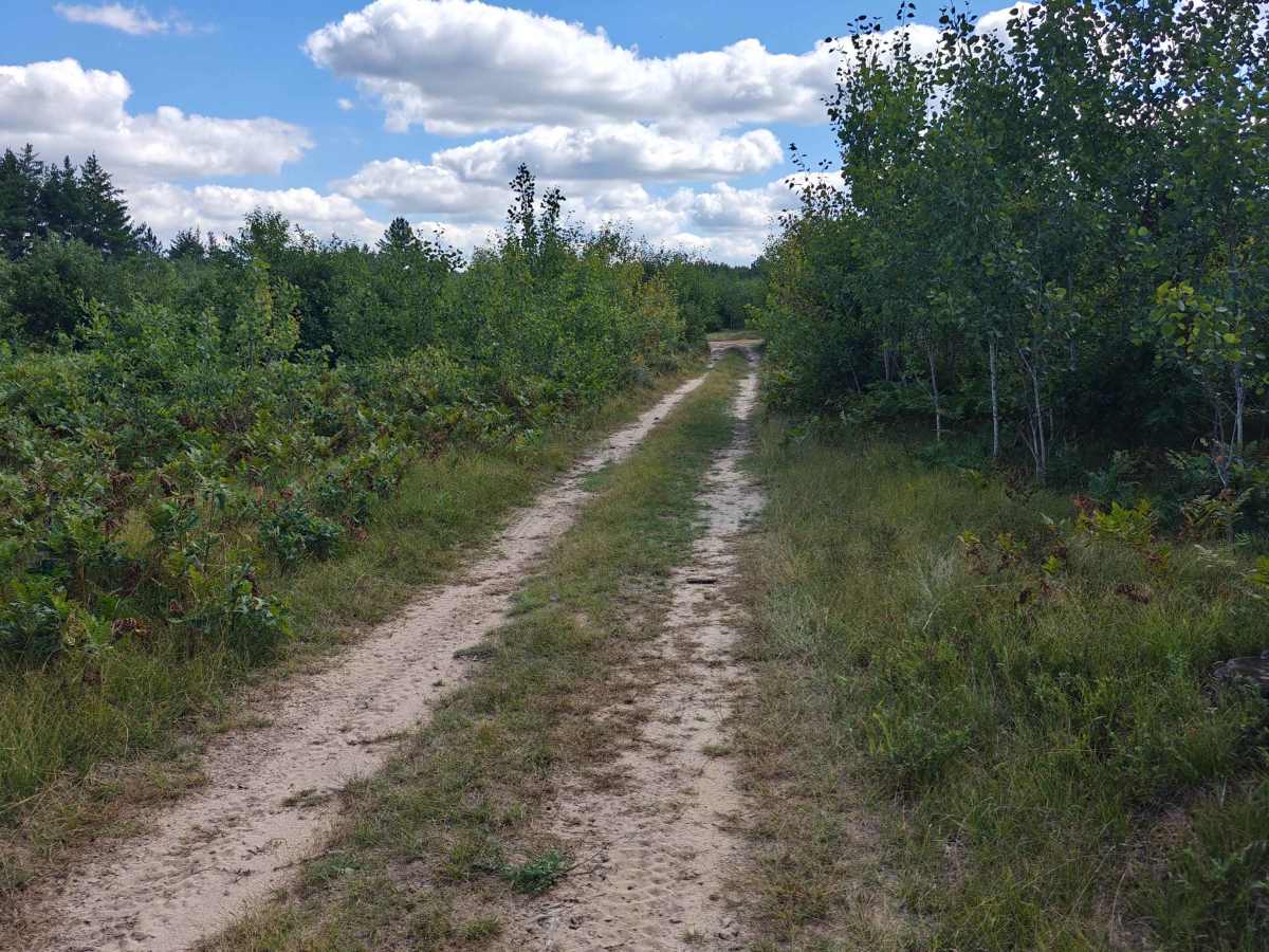 Tillman Connection trail photo