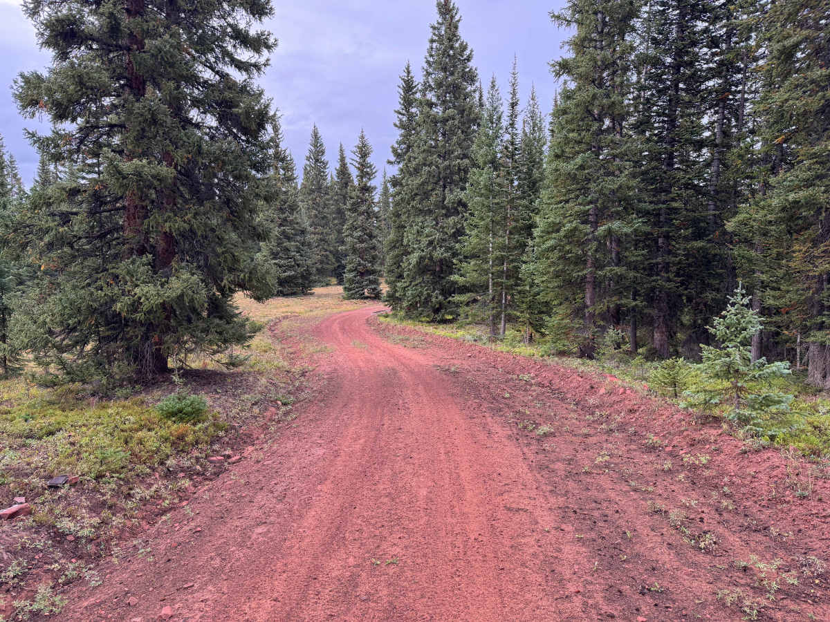 Red Canyon Road photo 4