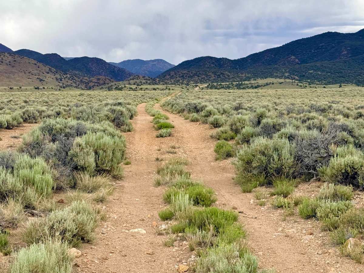 House Canyon Cutoff Road photo 5