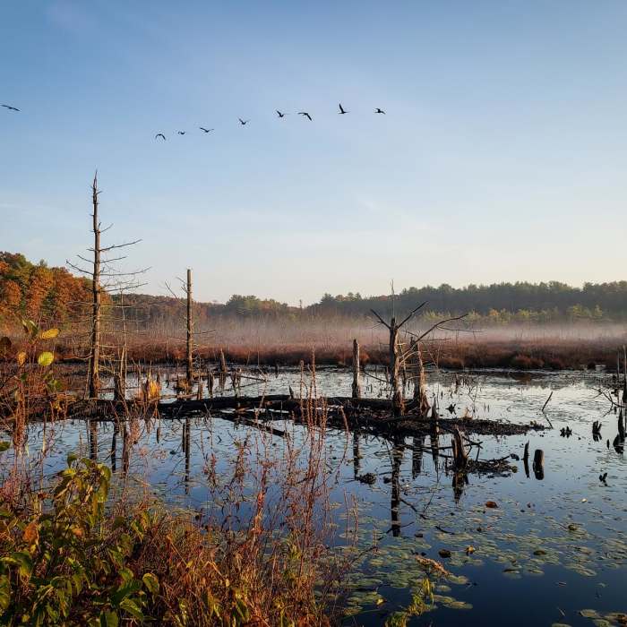 Near Assabet River National Wildlife Refuge + Rail Trail Near Assabet River National Wildlife Refuge + Rail Trail