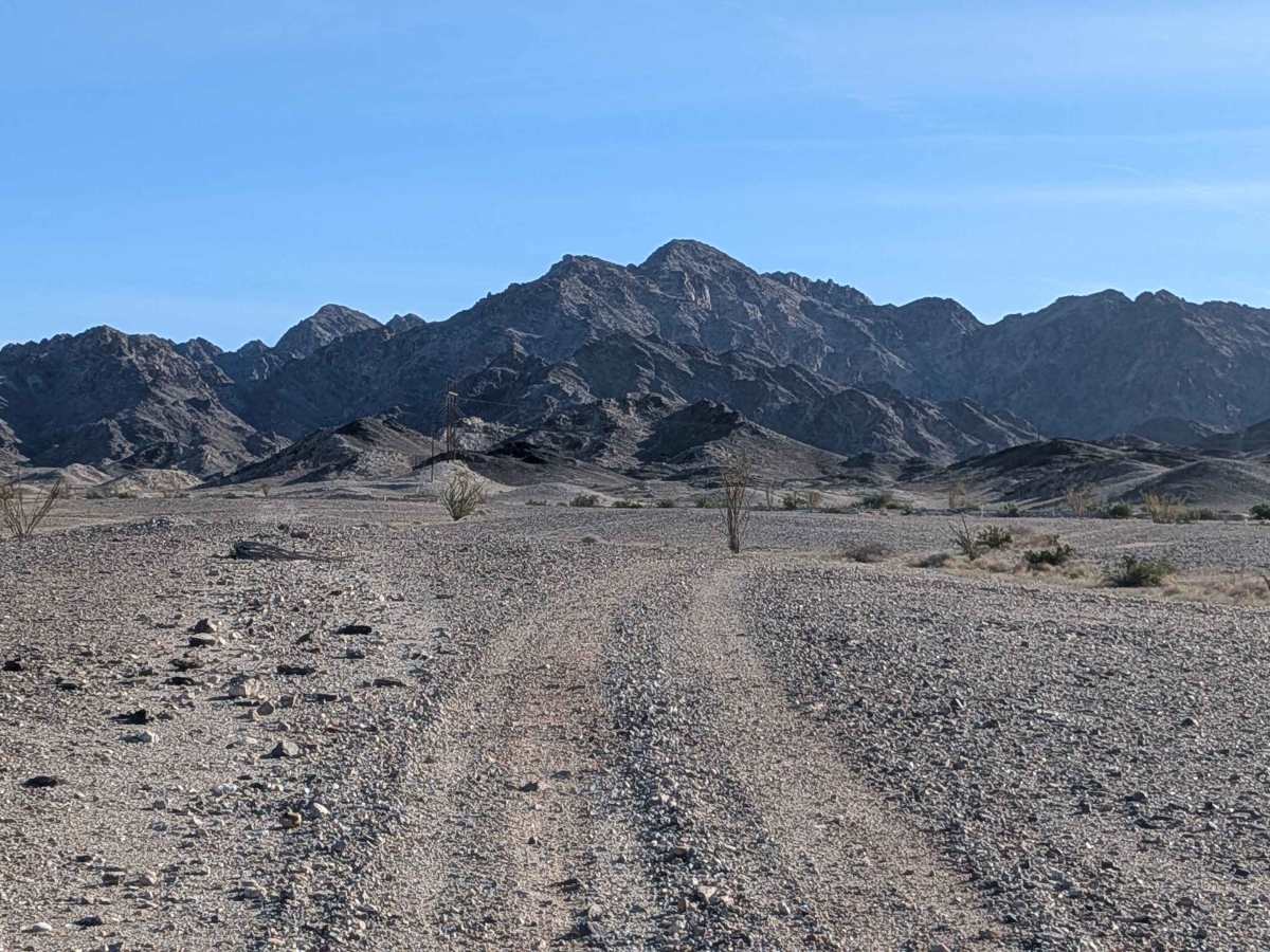 BLM 801 photo 3
