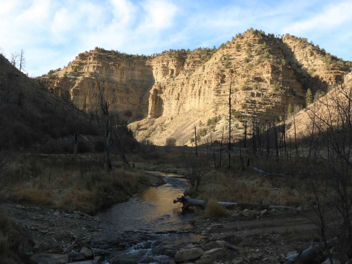 Strawberry River Road photo 2
