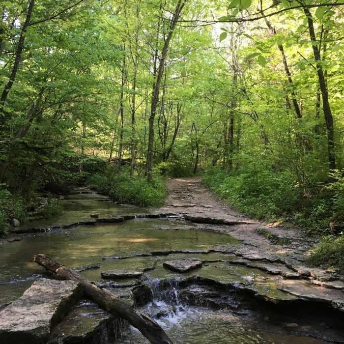 Near Germantown Metropark