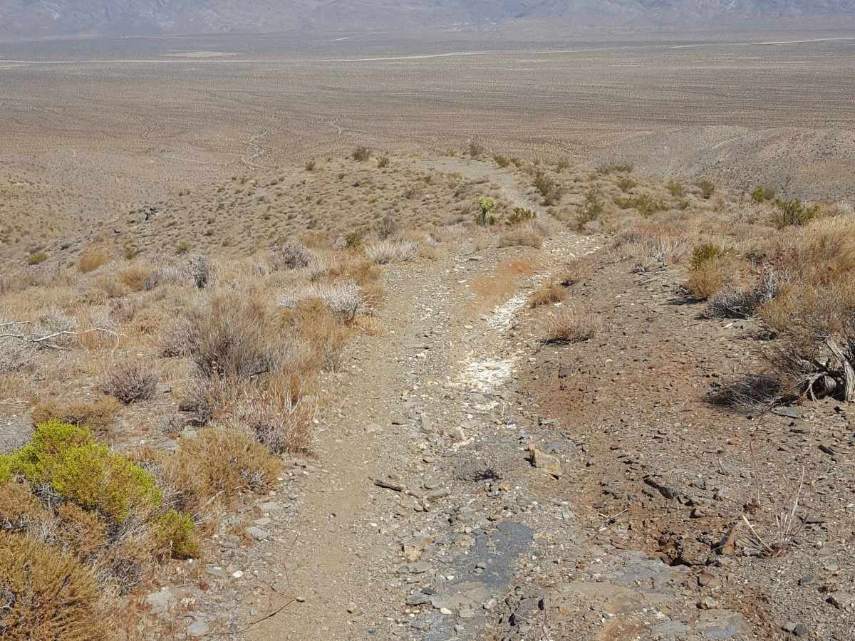 Trail 57 photo 5