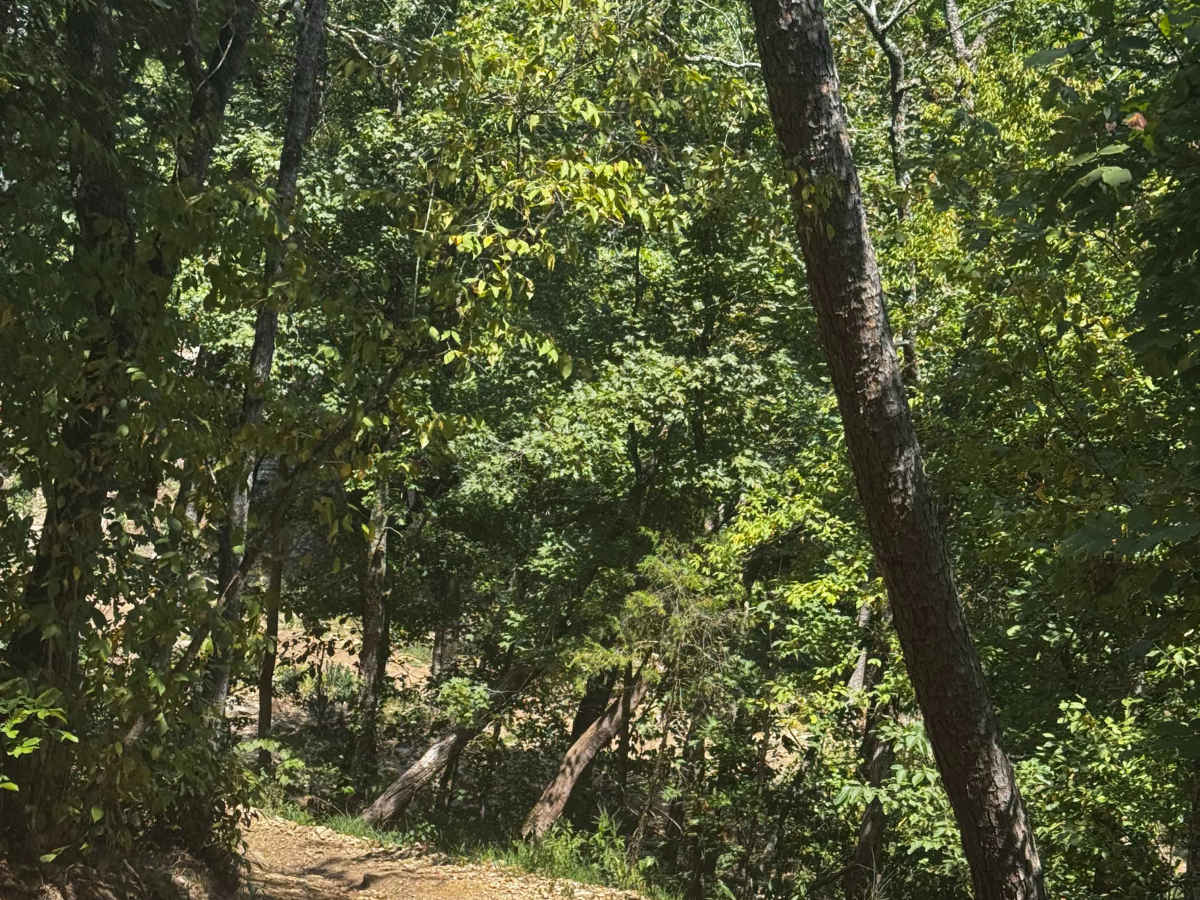 Short Cut to Valley photo 2