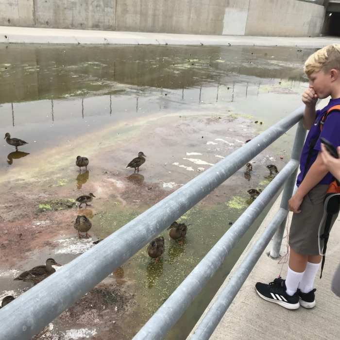 Near Mountains to Sea Trail