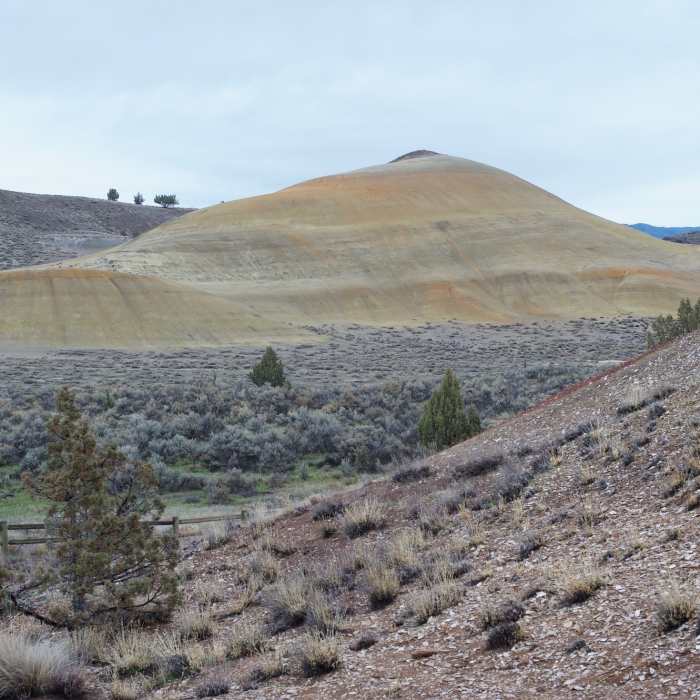 Near Leaf Hill Trail