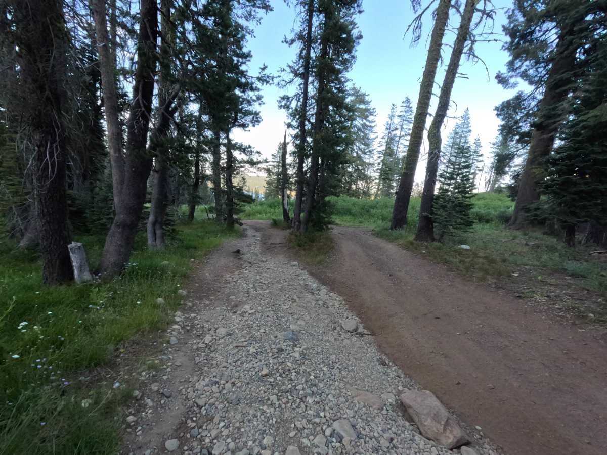 Gold Lake Shore Upper Segment - FS 12M01 photo 3