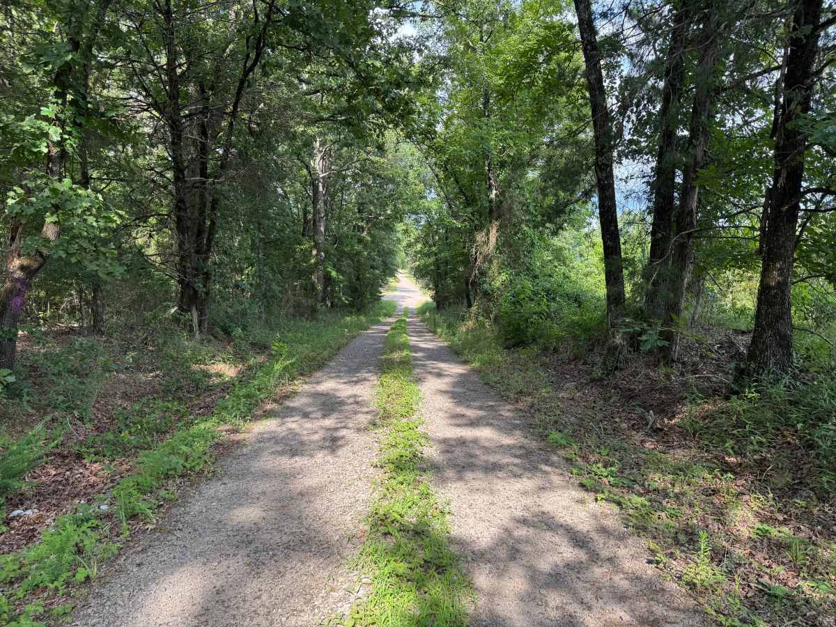 Slover Creek trail photo