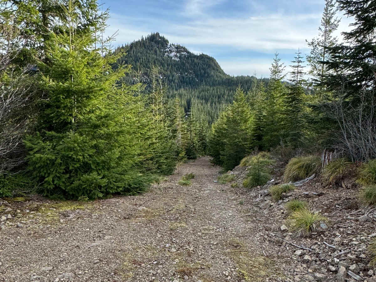 North Fork Tilton Road - FS 7300 photo 2