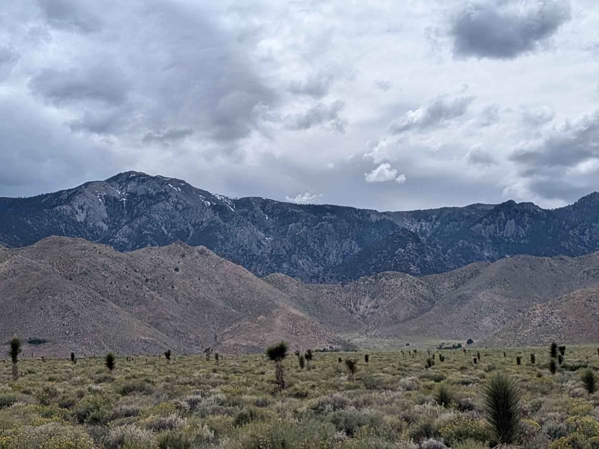 BLM SE740 photo 2