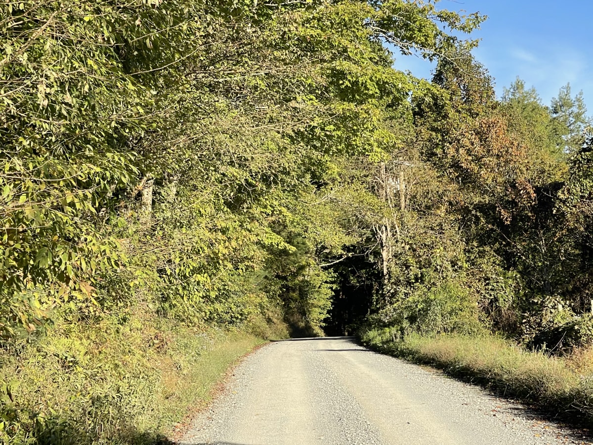Laurel Creek Road trail photo