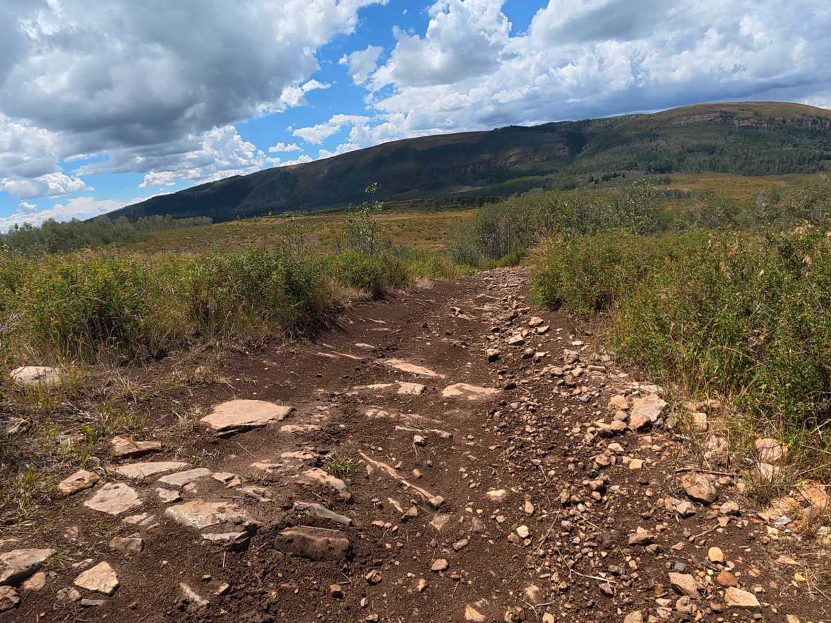 Red Elephant Hill Road Cutoff - FS 848 photo 6
