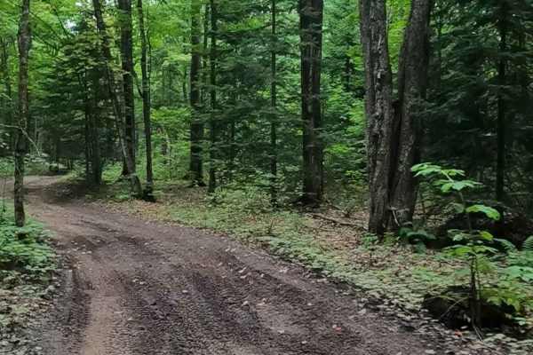 Lavender Lake Road
