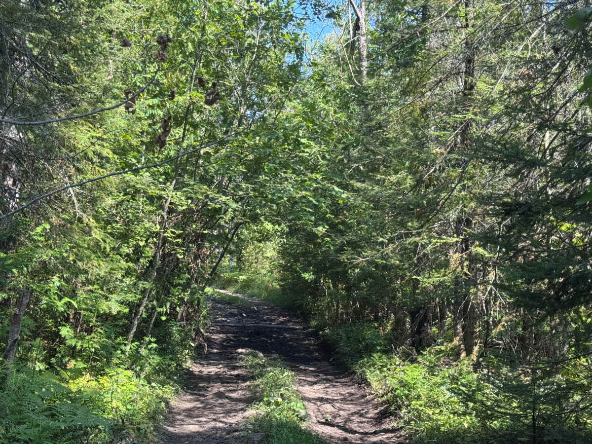 Reynolds Bay Trail photo 5