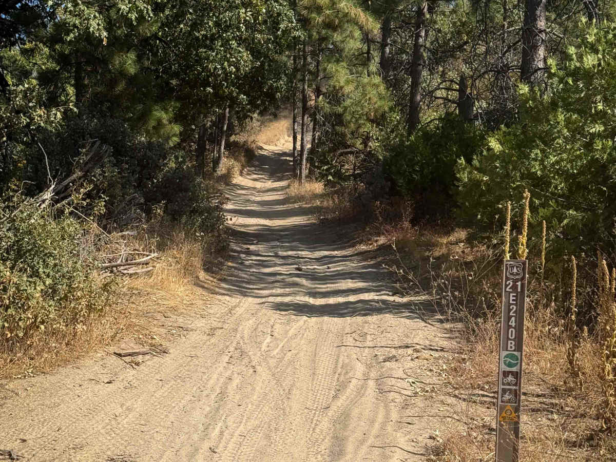 21E240B trail photo